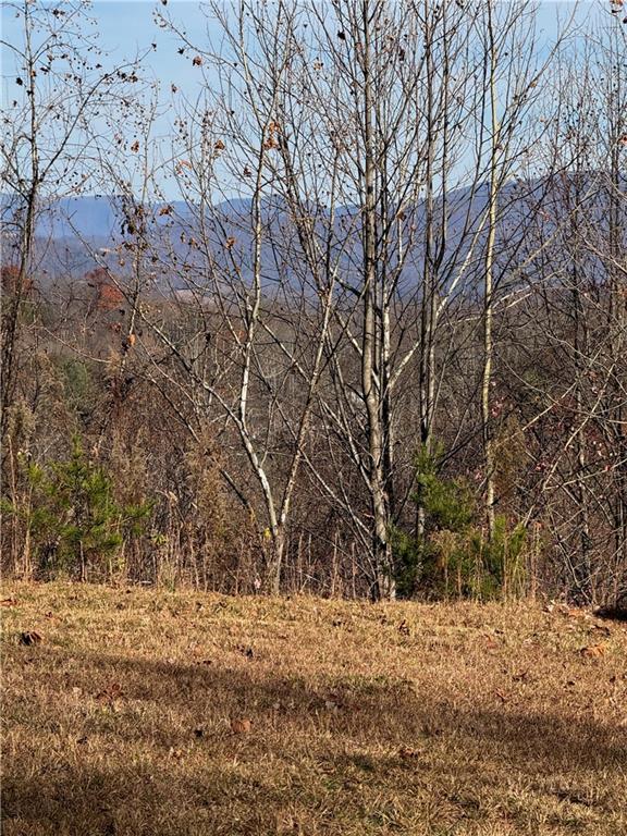 1220 Chatuge Manor Road Young Harris, GA 30582 - Photo 4 of 18