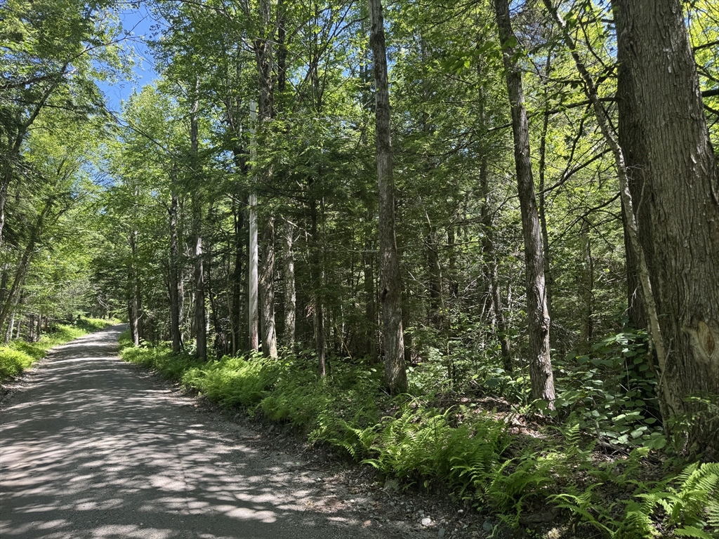 0 Old Stage Road Ashfield, MA 01330 - Photo 7 of 7