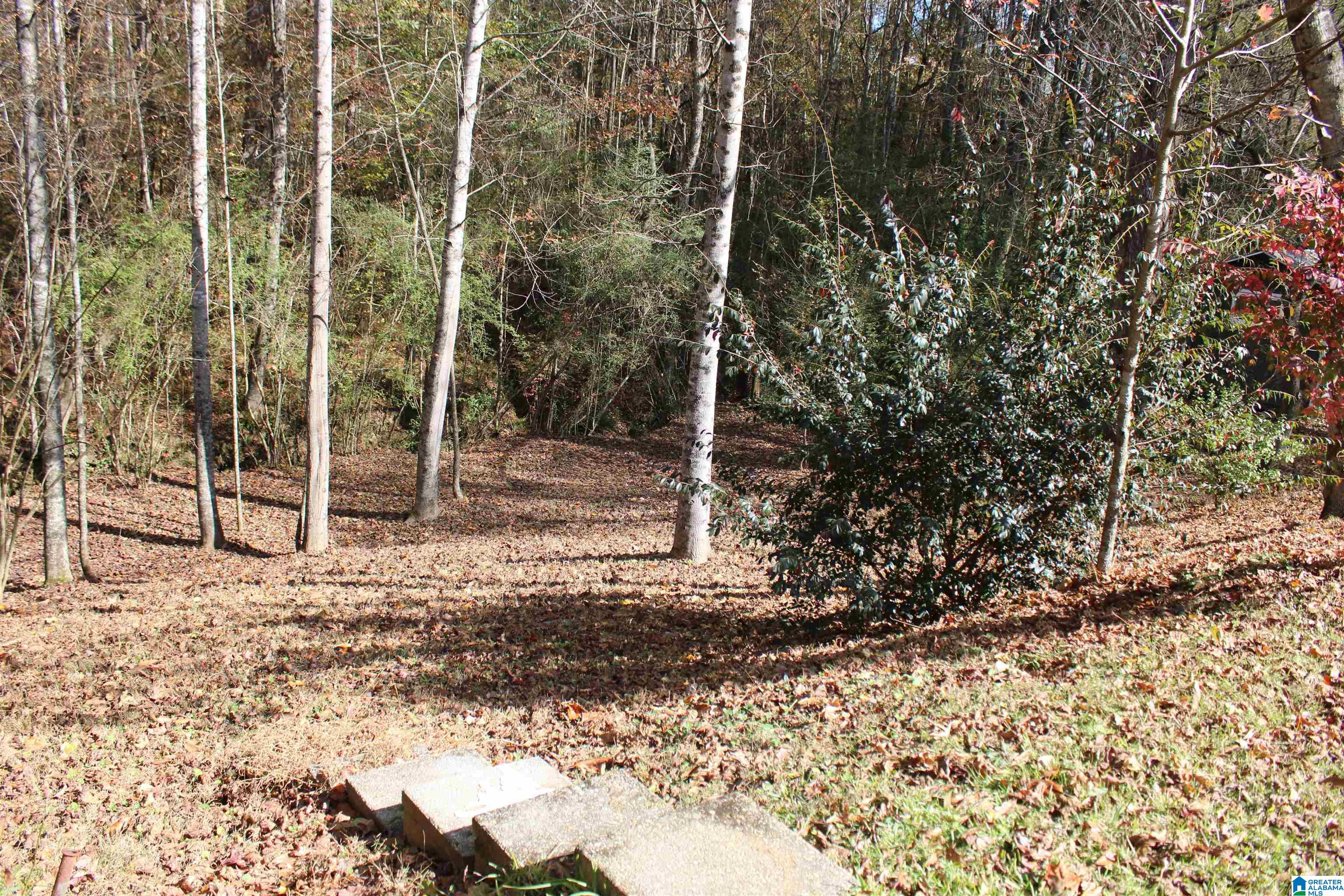 86 Jones Road Heflin, AL 36264 - Photo 32 of 39