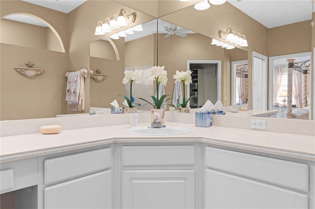 3408 Stonebridge Trail Valrico, FL 33596 - Photo 22 of 53 a bathroom with a sink and a mirror