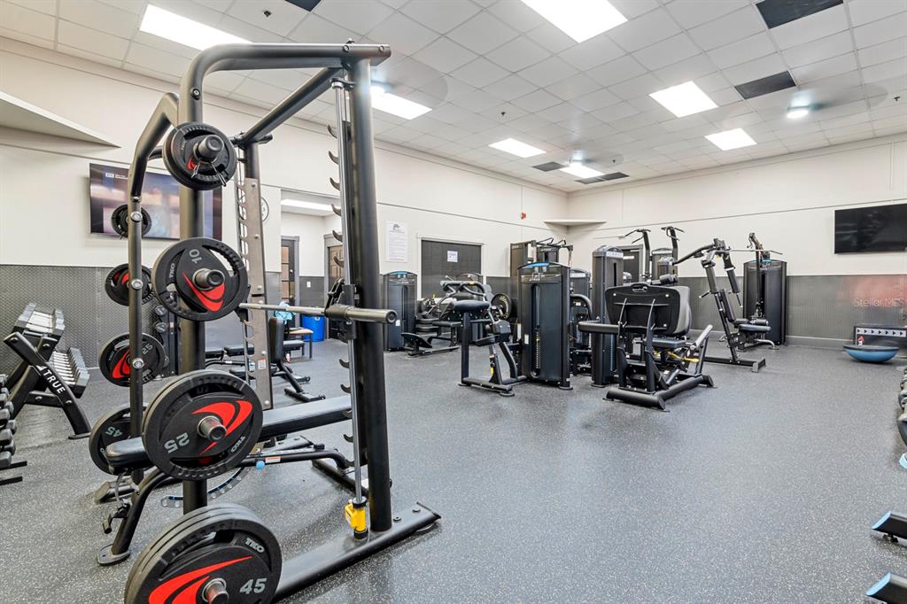 3408 Stonebridge Trail Valrico, FL 33596 - Photo 47 of 53 a view of a room with gym equipment