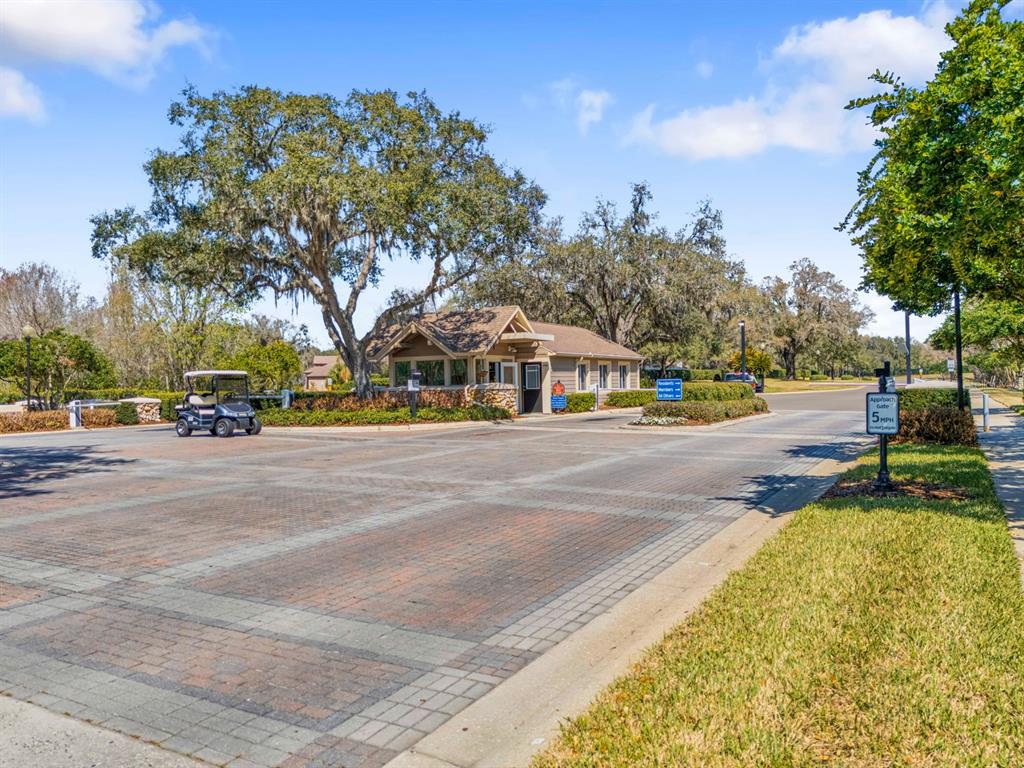 3408 Stonebridge Trail Valrico, FL 33596 - Photo 53 of 53 a view of street with houses