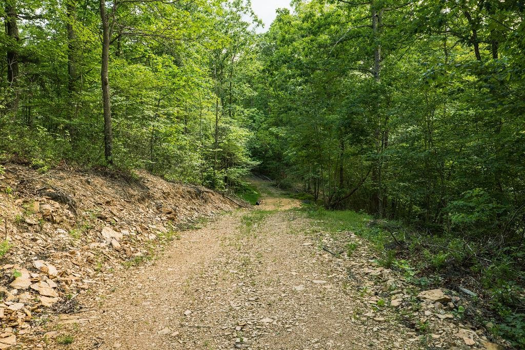 Tbd Calf Mountain Road Waynesboro, VA 22980 - Photo 29 of 36