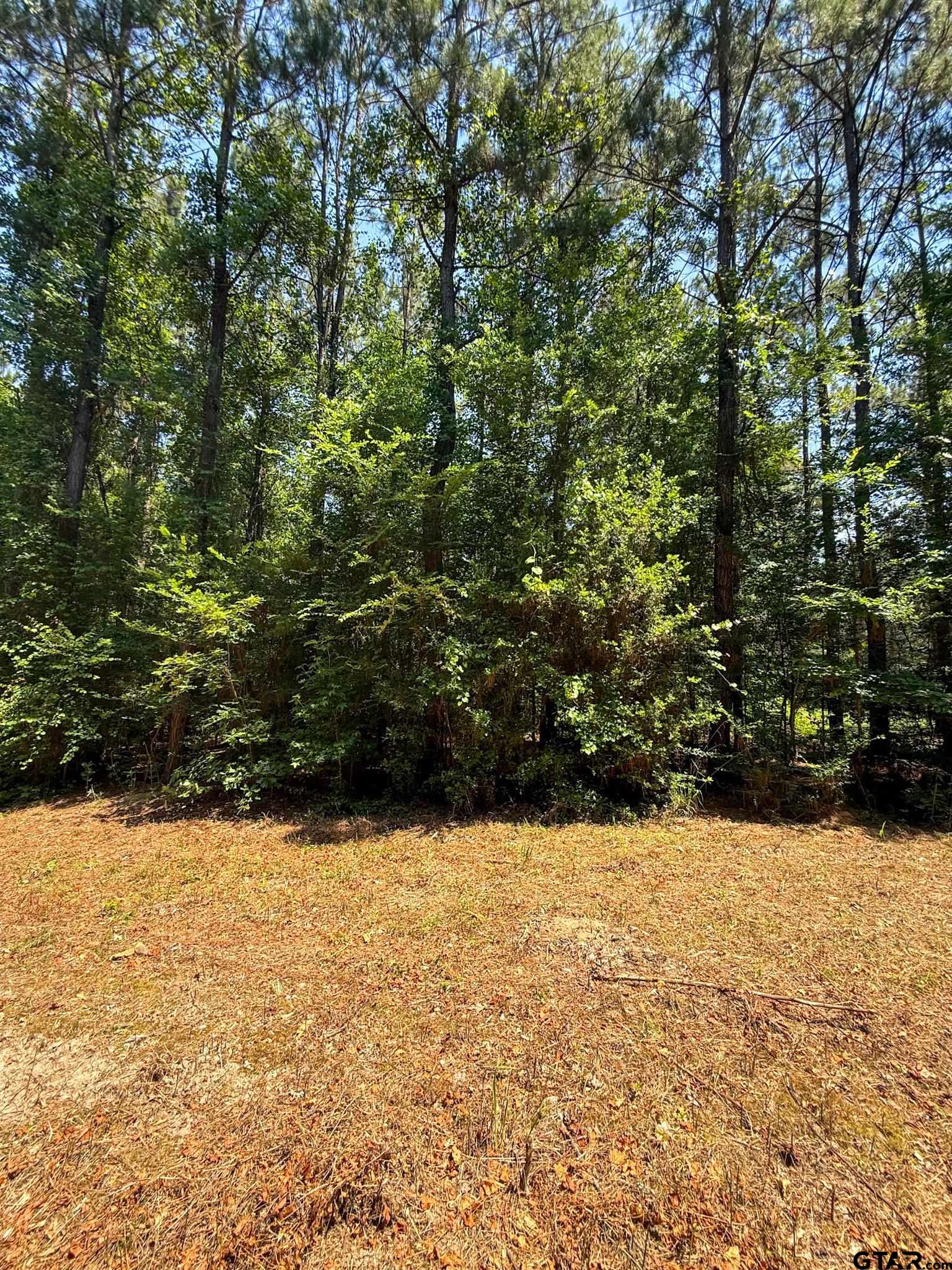 1329 C R 2112 Rusk, TX 75785 - Photo 10 of 13 a view of a yard