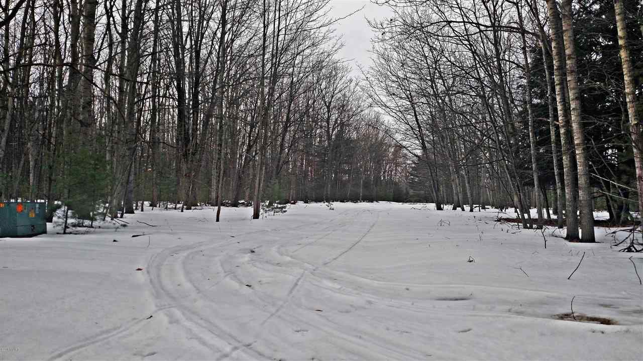 Morton Road, Unit 195 Free Soil, MI 49411 - Photo 5 of 22