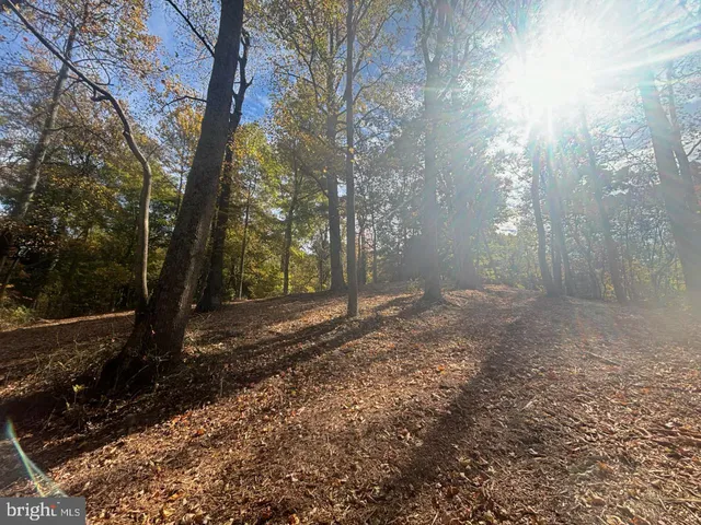 $399,000 | 0 Wellington Drive, King George, VA 22485