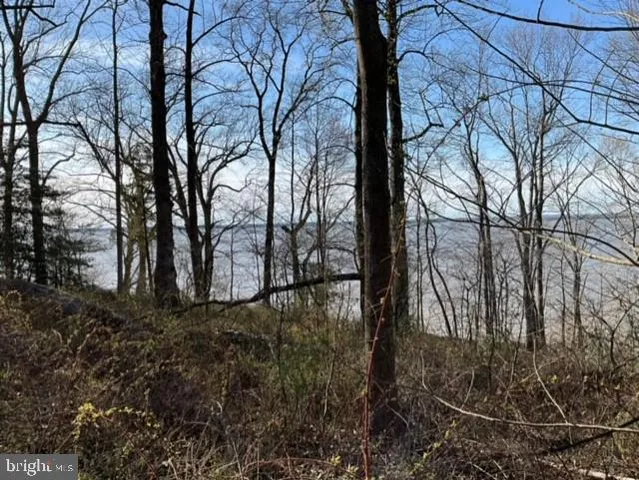 $399,000 | 0 Wellington Drive, King George, VA 22485