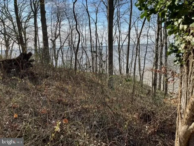 $399,000 | 0 Wellington Drive, King George, VA 22485