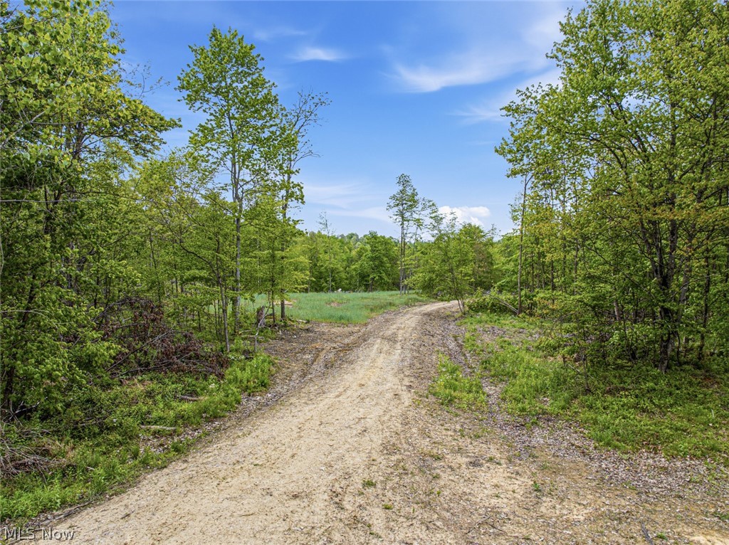 69-acres Newlon Road Malta, OH 43758 - Photo 5 of 20
