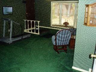 3566 Kane Road Carleton, MI 48117 - Photo 20 of 20 738331-19.JPG