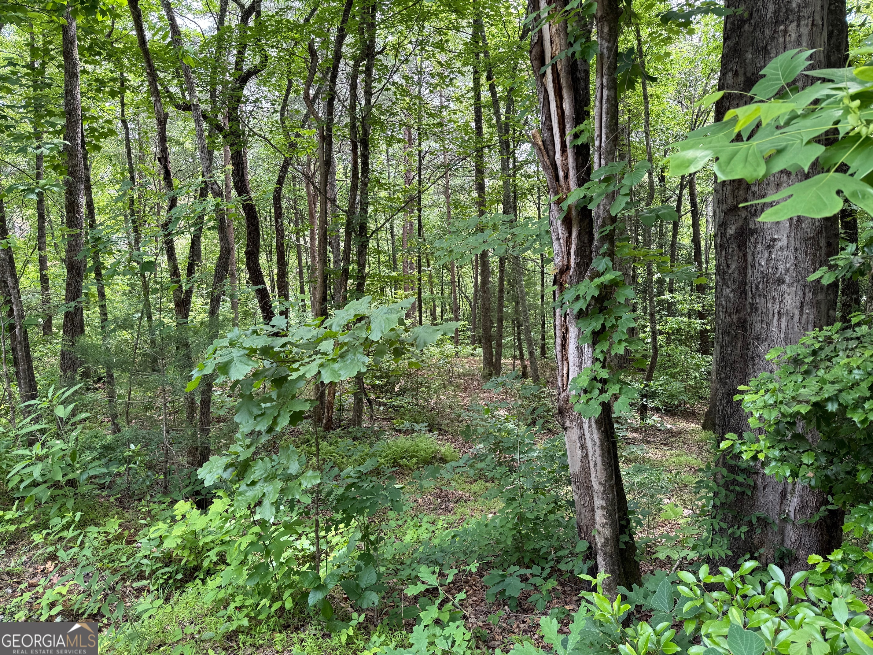 0 Mr Bert Road Hiawassee, GA 30546 - Photo 16 of 22