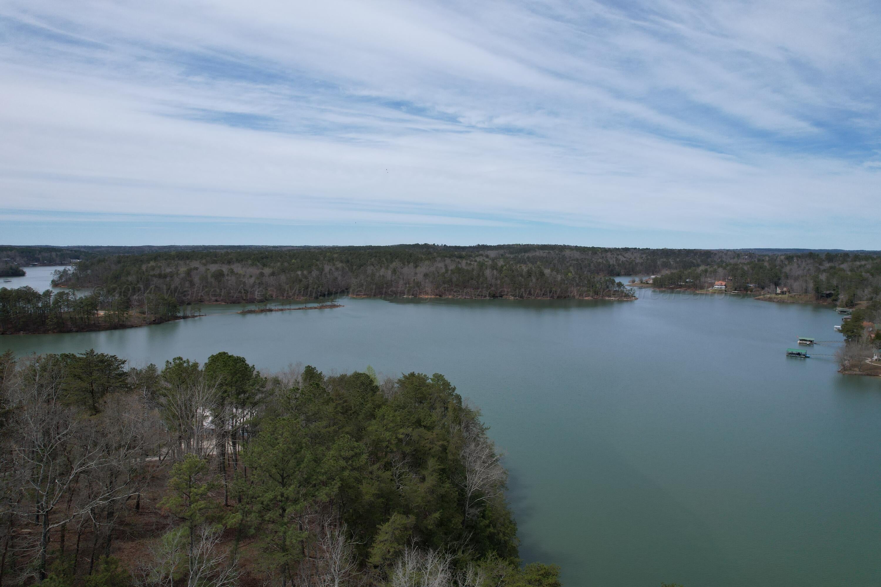 15 Long Leaf Road Lynn, AL 35575 - Photo 3 of 14 High LEFT