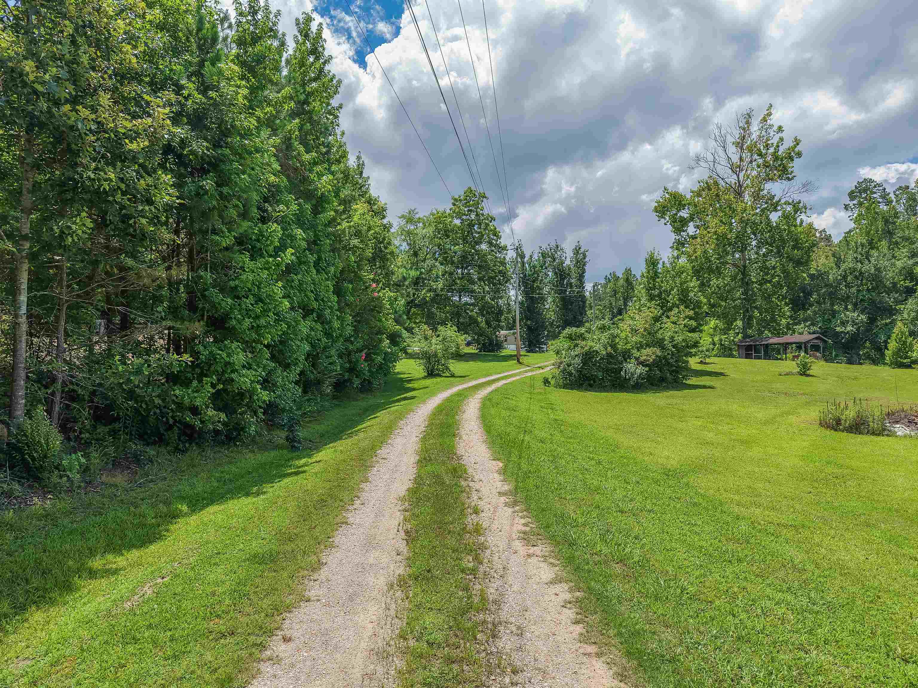 2380 Dunaway Road Selmer, TN 38375 - Photo 6 of 39 Gravel drive traversing manicured lawns and mature trees