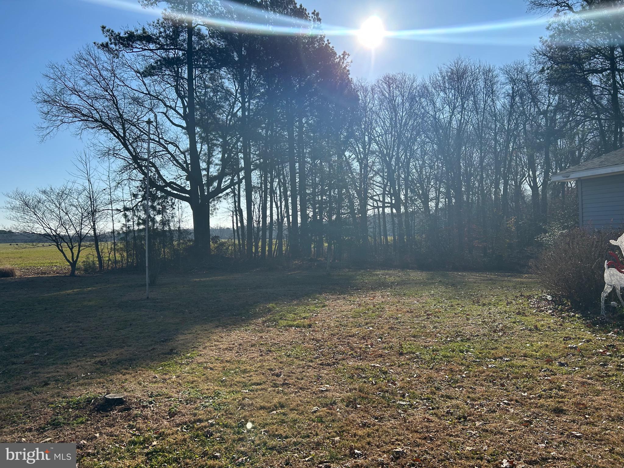 30423 Baynard Road Trappe, MD 21673 - Photo 3 of 25 a view of a yard