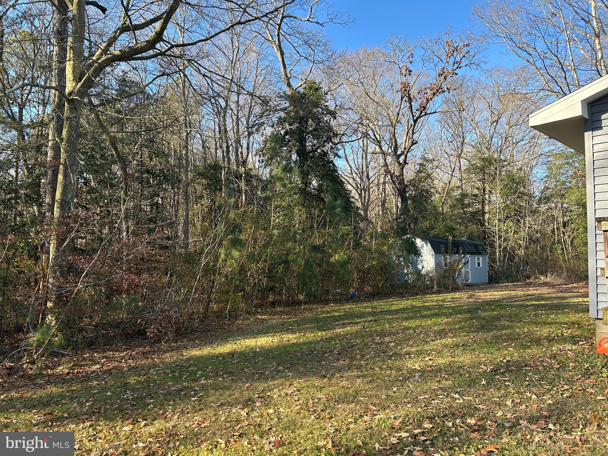 30423 Baynard Road Trappe, MD 21673 - Photo 5 of 25 a view of a field with trees in the background
