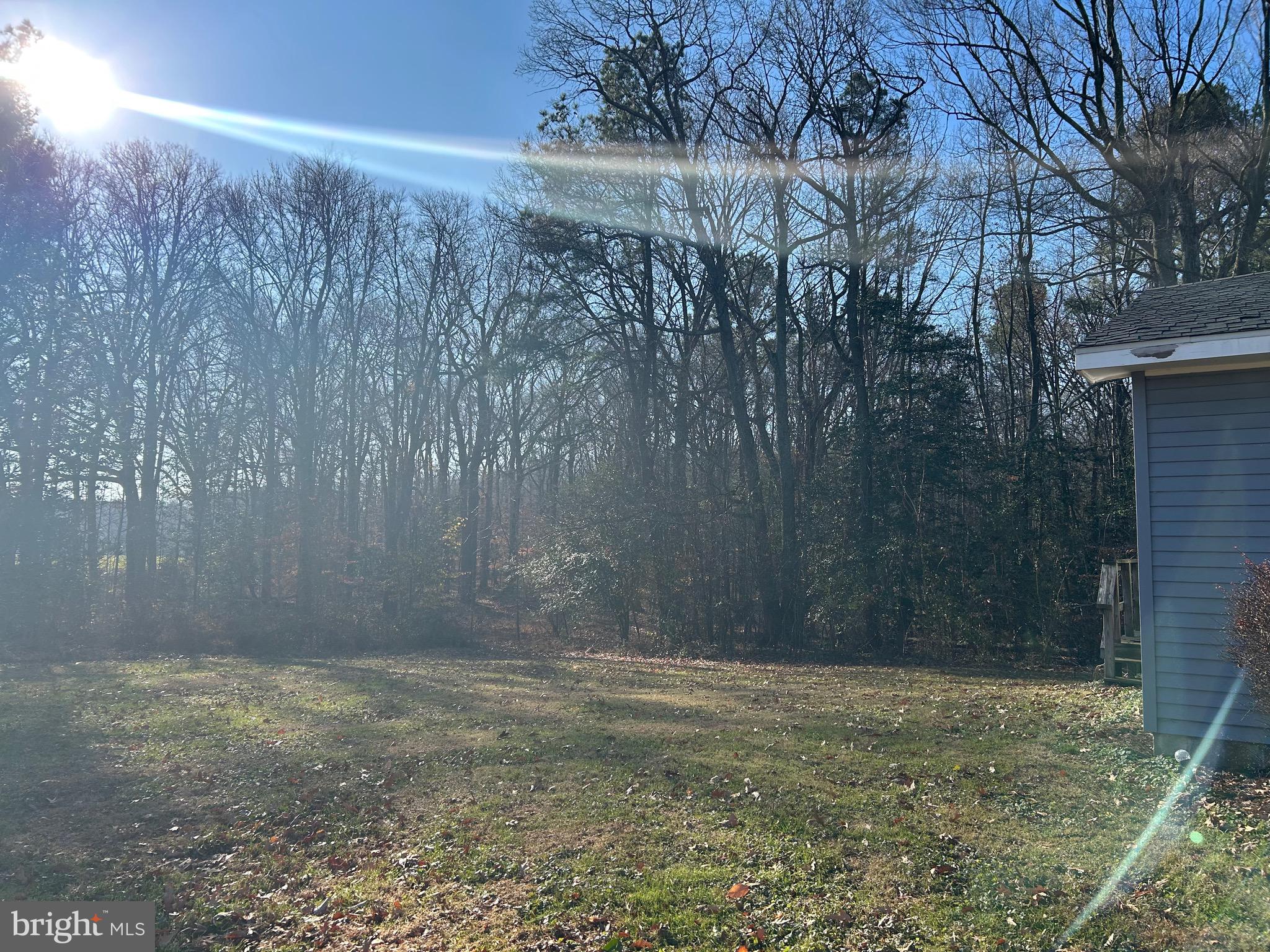 30423 Baynard Road Trappe, MD 21673 - Photo 7 of 25 a view of a backyard