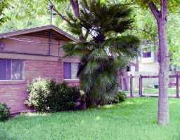 a view of a backyard with plants