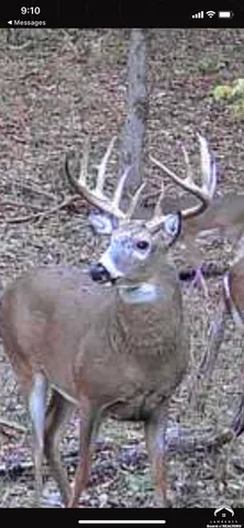 $4,990,000 | 770 East 1300th Road, Lawrence, KS 66046