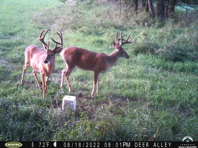 $4,990,000 | 770 East 1300th Road, Lawrence, KS 66046