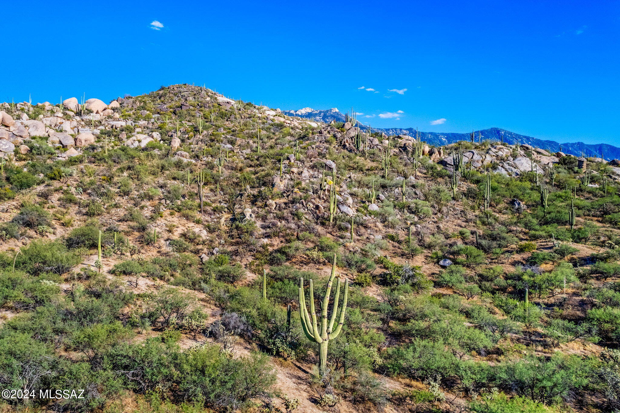 16500 North Ridge Rock Trail Tucson, AZ 85739 - Photo 9 of 29 3-web-or-mls-16500 N Ridge Rock Trail -