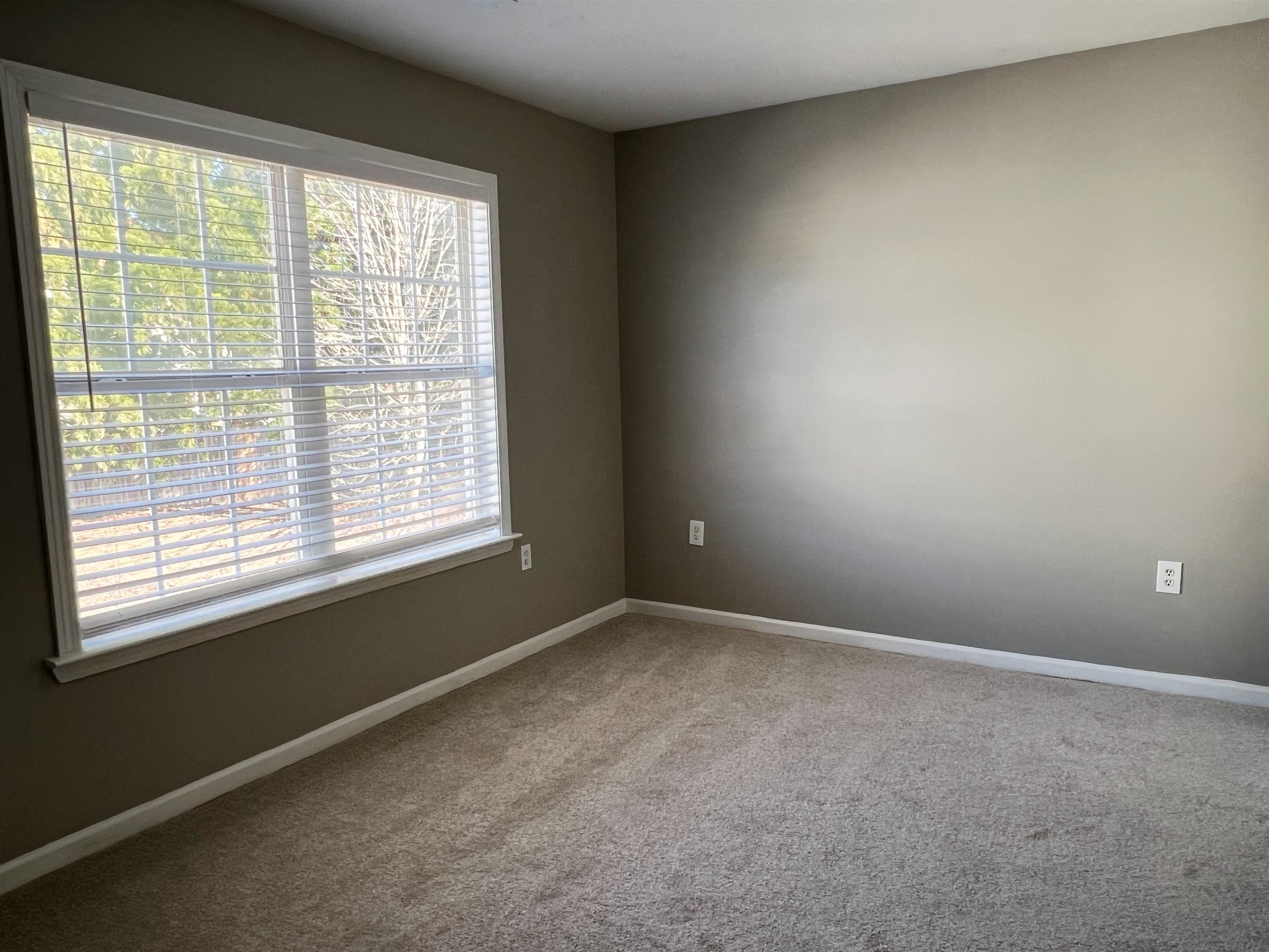 373 Still Water Circle Boiling Springs, SC 29316 - Photo 17 of 23