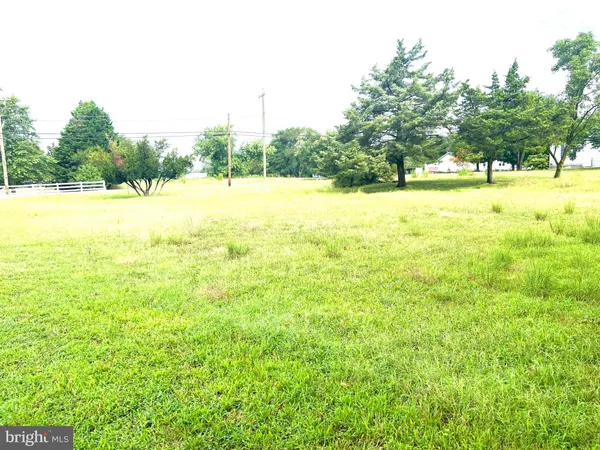 a view of outdoor space with yard