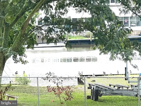 a view of ocean with a large trees