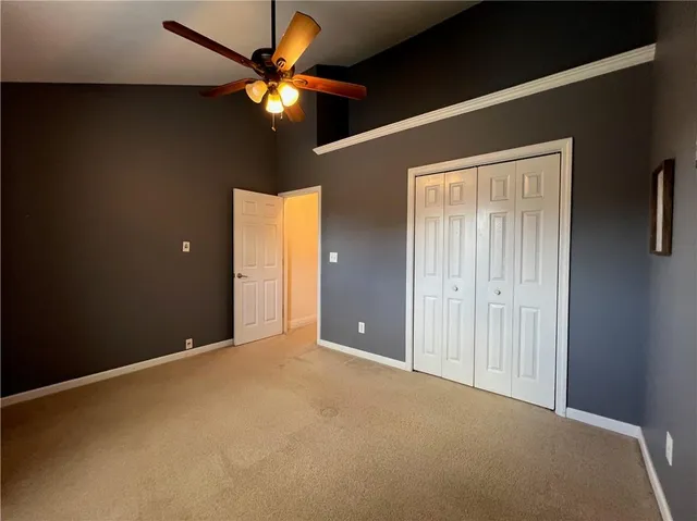 a backyard of a house with plants and large tree