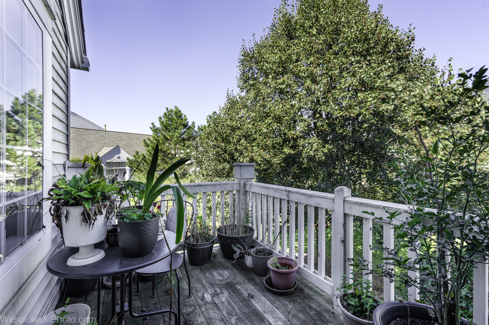 644 South Rosehall Lane, Unit 644 Round Lake, IL 60073 - Photo 23 of 33 a view of a patio with couple of chairs and a potted plant