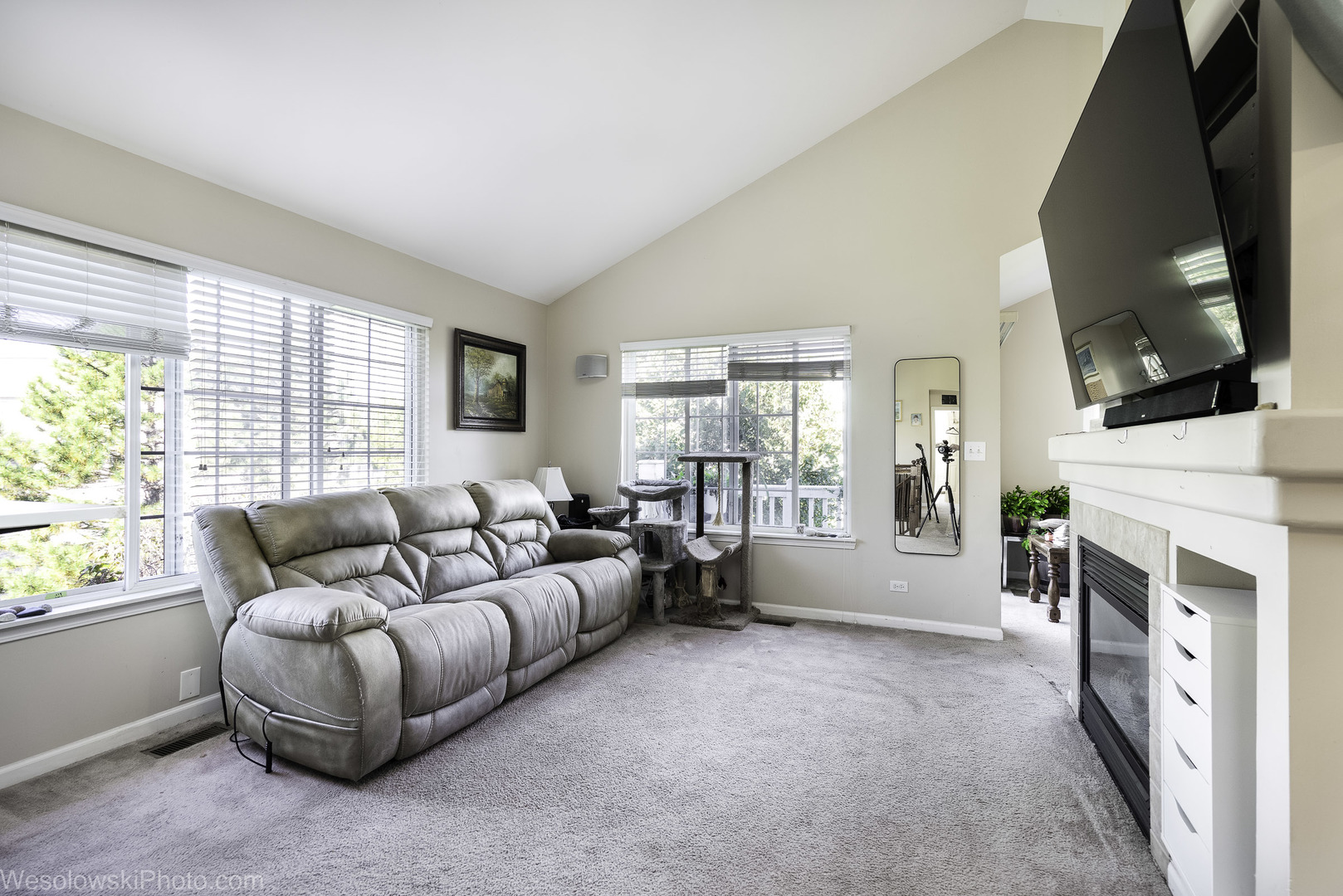 644 South Rosehall Lane, Unit 644 Round Lake, IL 60073 - Photo 6 of 33 a living room with furniture a flat screen tv and a fireplace