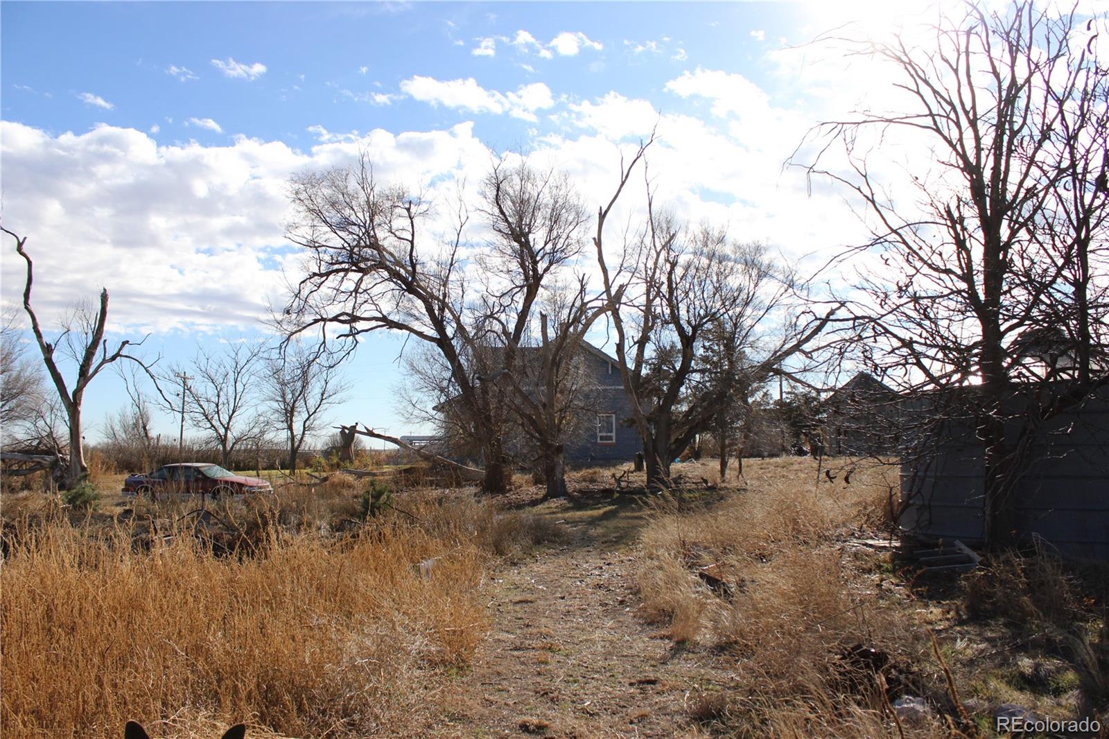 1901 County Road East Joes, CO 80822 - Photo 13 of 42