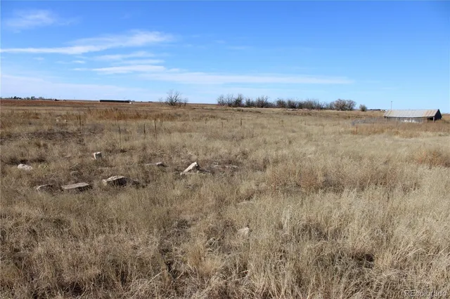 a view of a dry yard