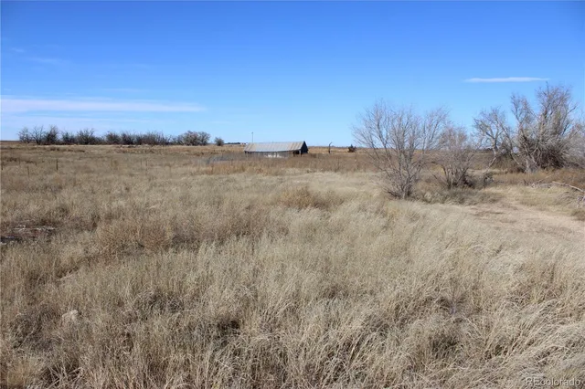 a view of a dry yard with wooden fence