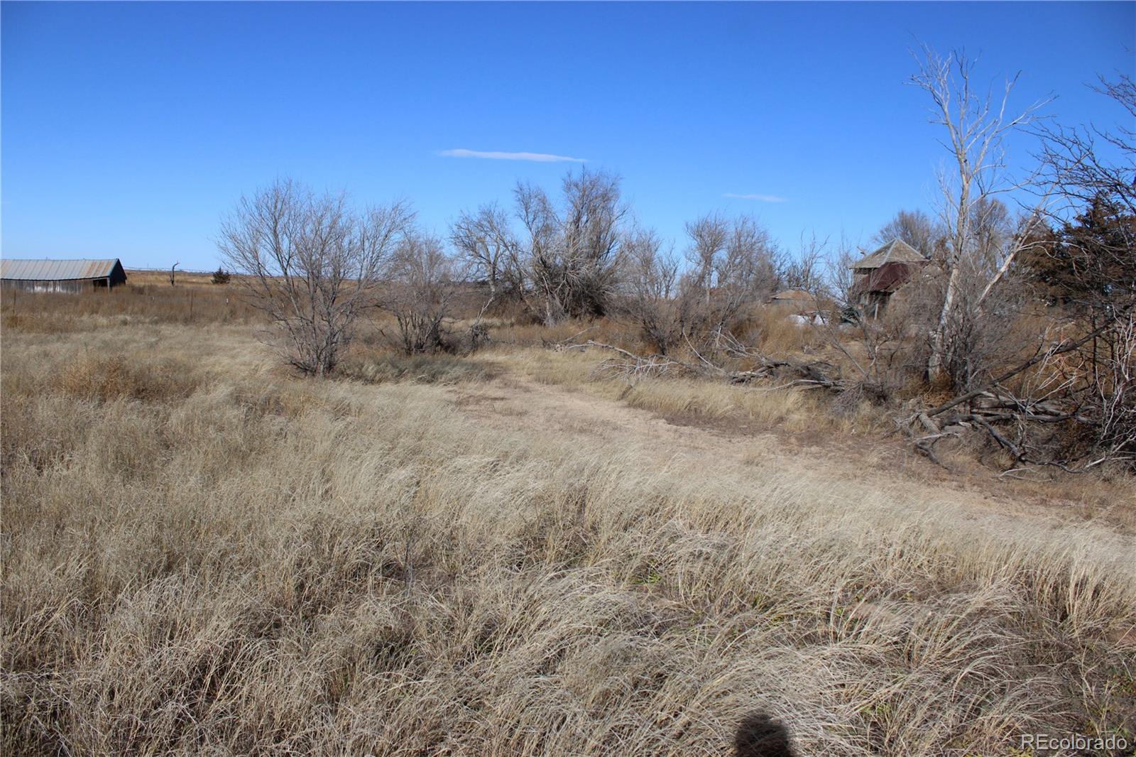 1901 County Road East Joes, CO 80822 - Photo 25 of 42 a view of a dry yard with trees