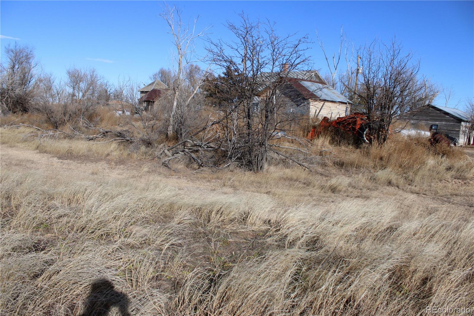 1901 County Road East Joes, CO 80822 - Photo 26 of 42 a view of a dry yard