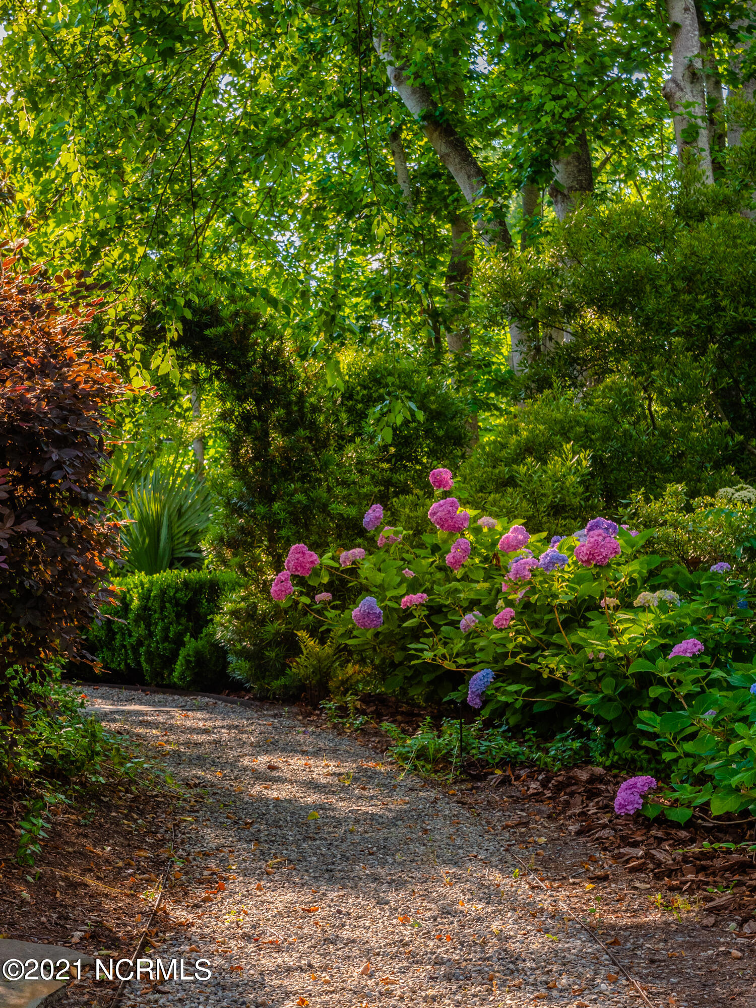 2307 Middle Sound Loop Road Wilmington, NC 28411 - Photo 66 of 88 67-large-2000px