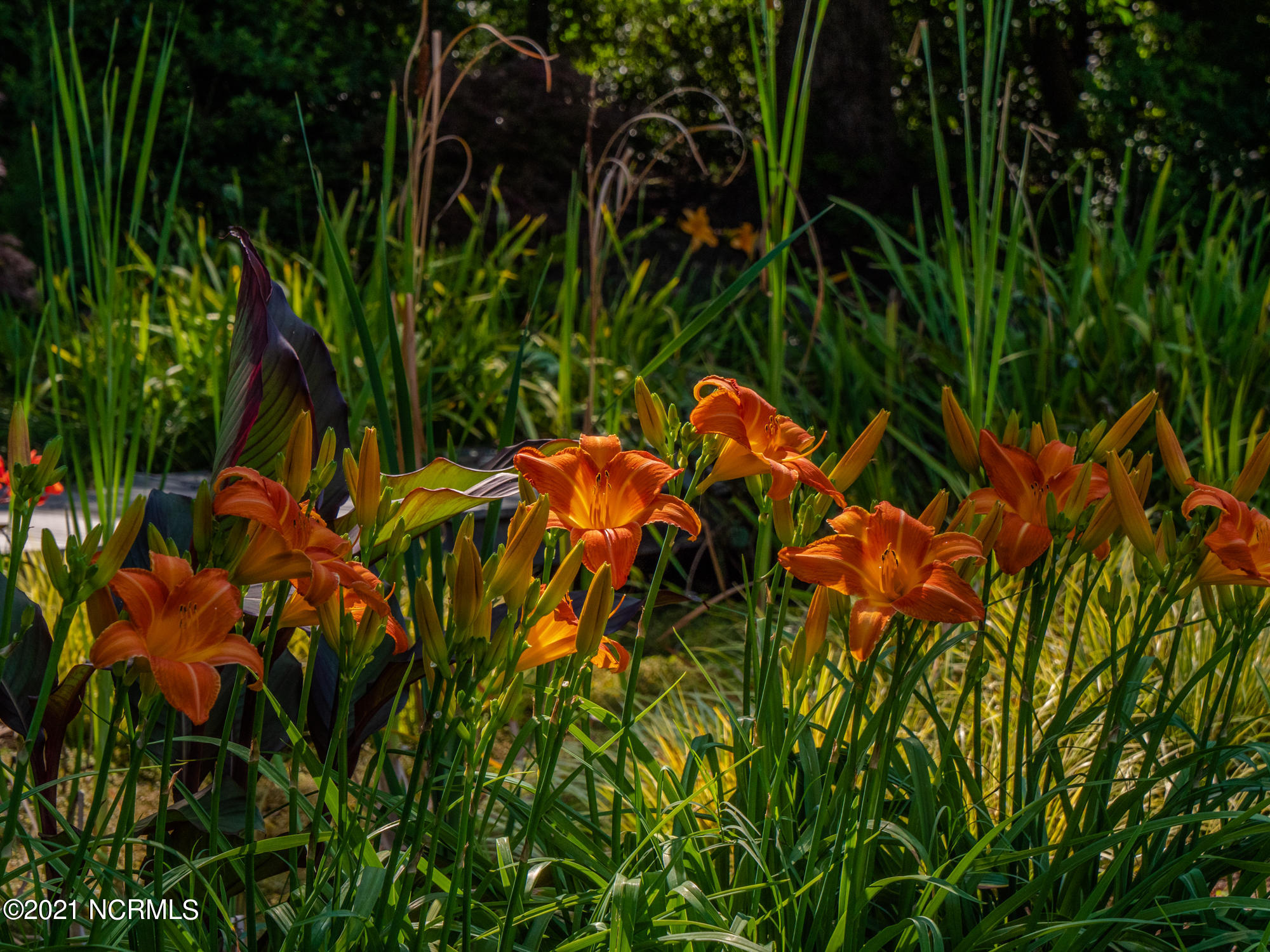 2307 Middle Sound Loop Road Wilmington, NC 28411 - Photo 84 of 88 11-large-2000px