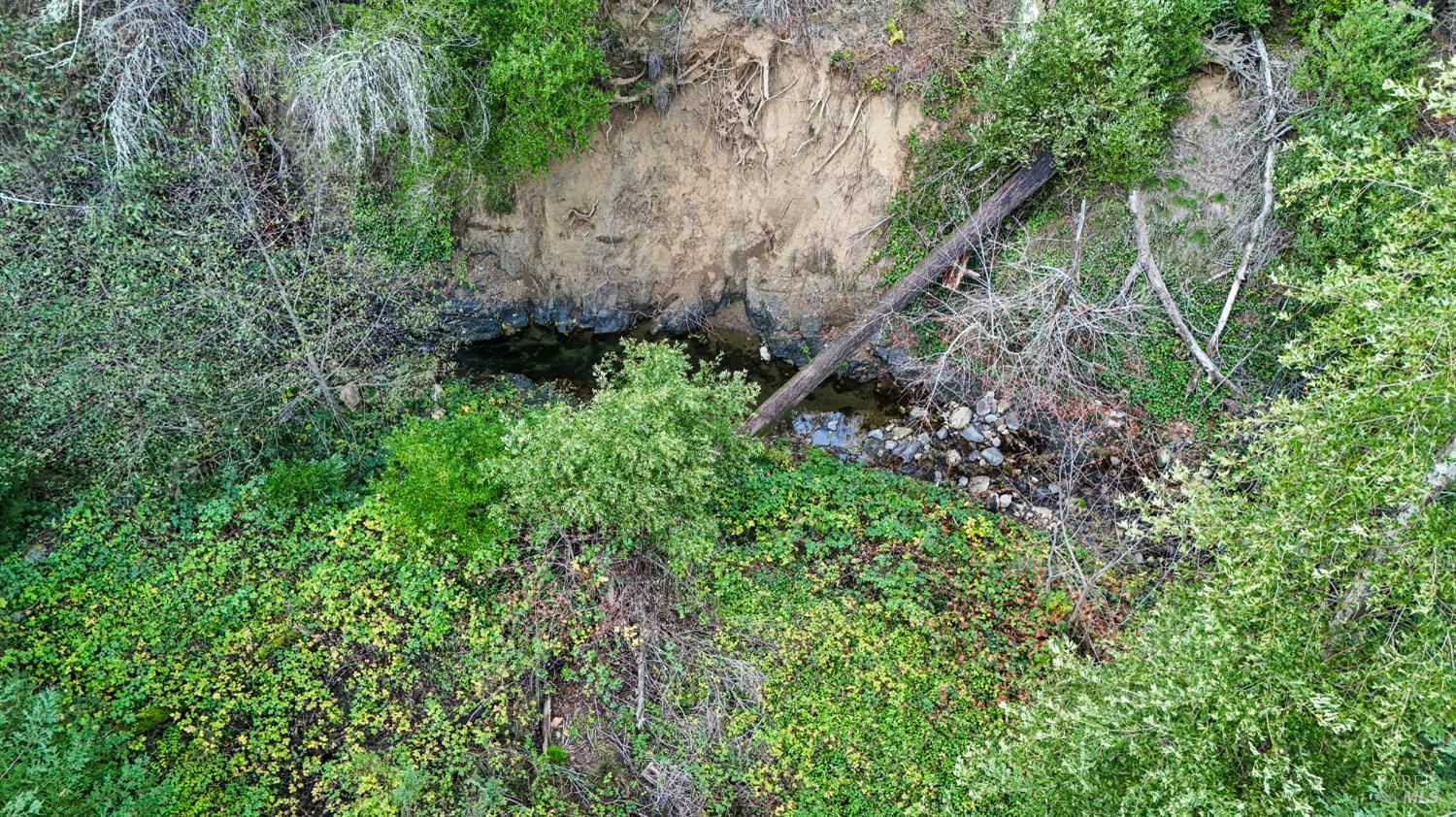 4640 Redwood Road Napa, CA 94558 - Photo 11 of 14 a backyard of a house with lots of green space