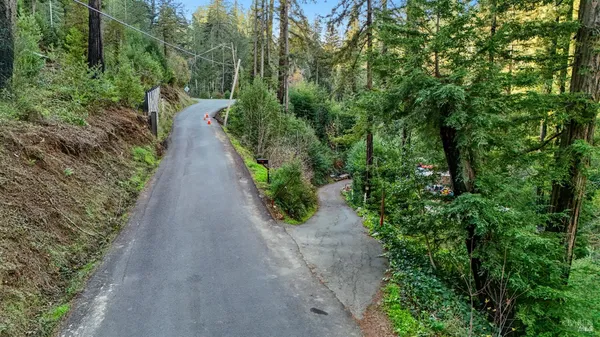 a view of a pathway both side of yard