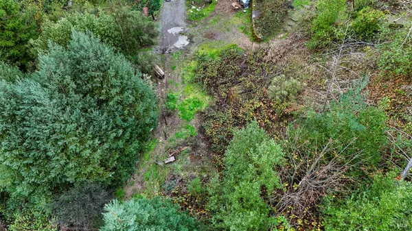 an aerial view of residential house with outdoor space and trees all around