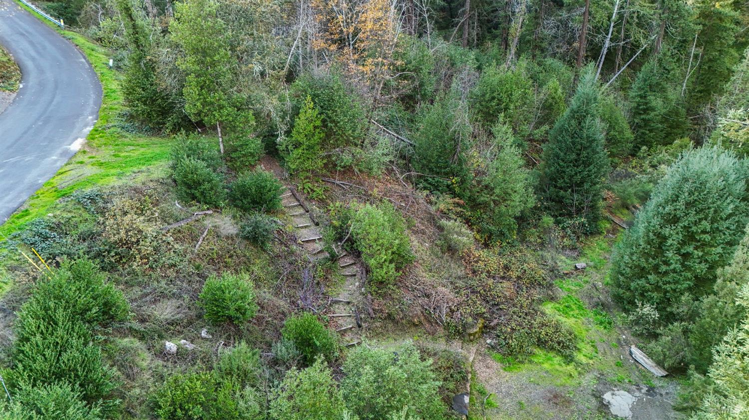 4640 Redwood Road Napa, CA 94558 - Photo 9 of 14 a view of a lush green forest with lots of trees