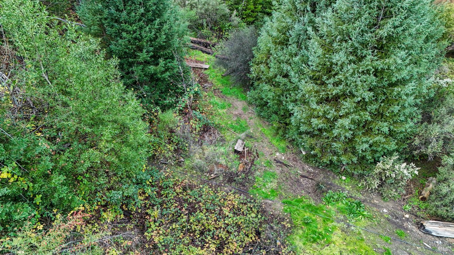 4640 Redwood Road Napa, CA 94558 - Photo 10 of 14 a view of a garden from a building
