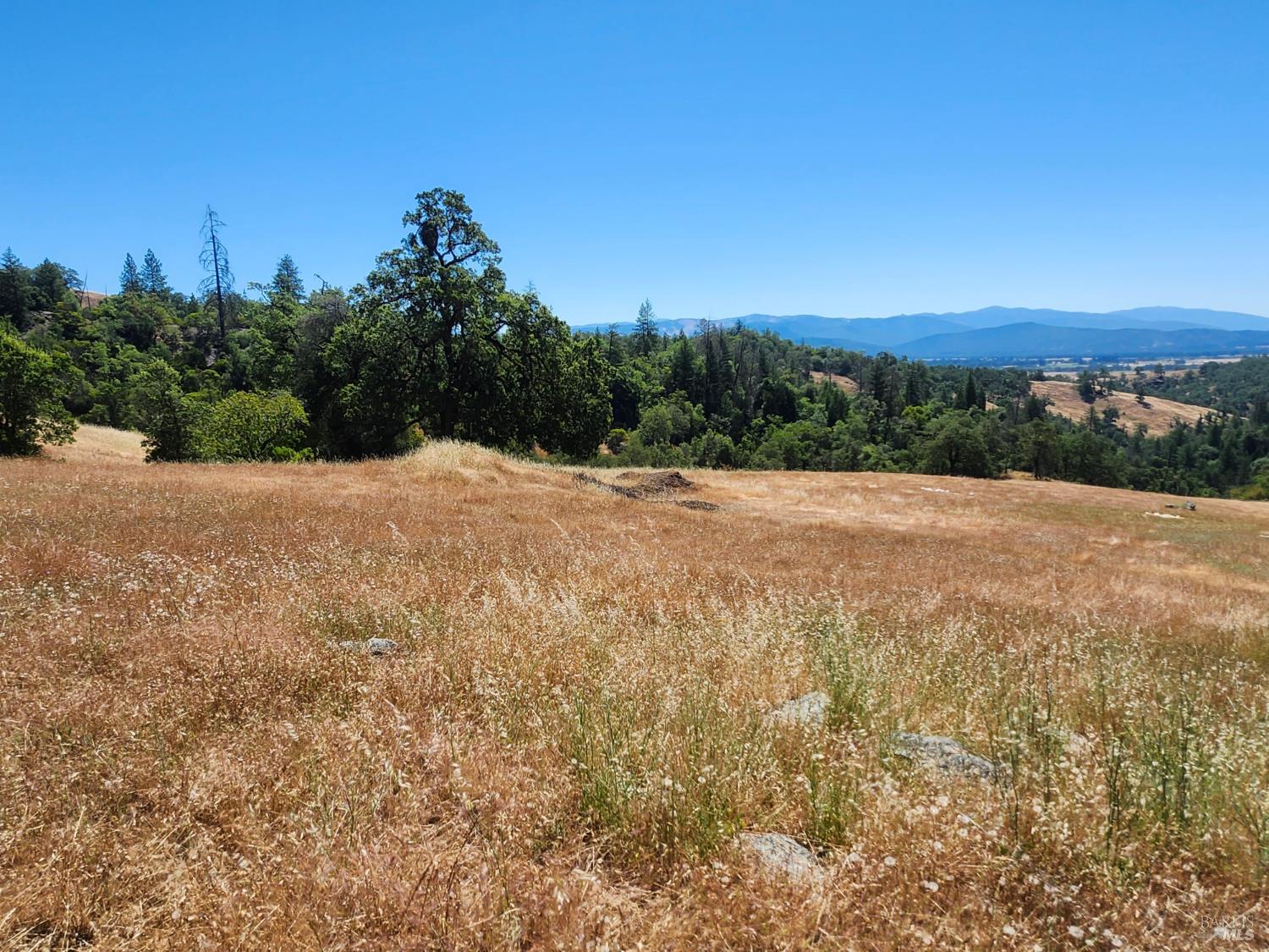 22551 Rifle Range Road Covelo, CA 95428 - Photo 16 of 24