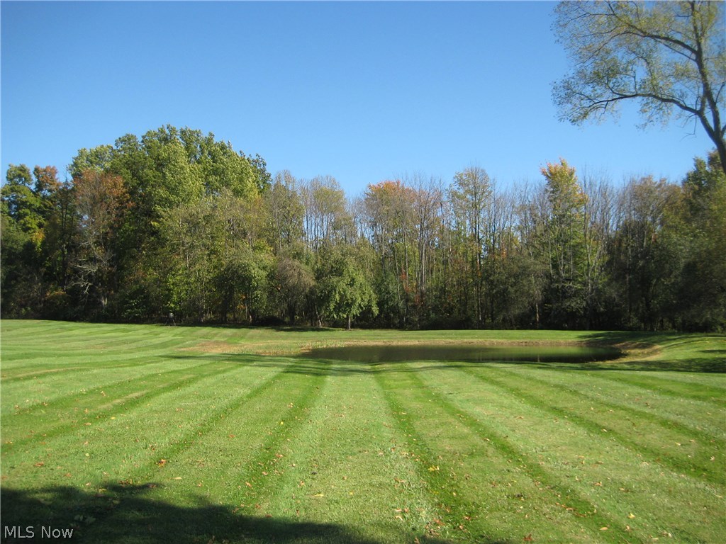 12627 Beloit Snodes Road Beloit, OH 44609 - Photo 22 of 25 property to the right of the home