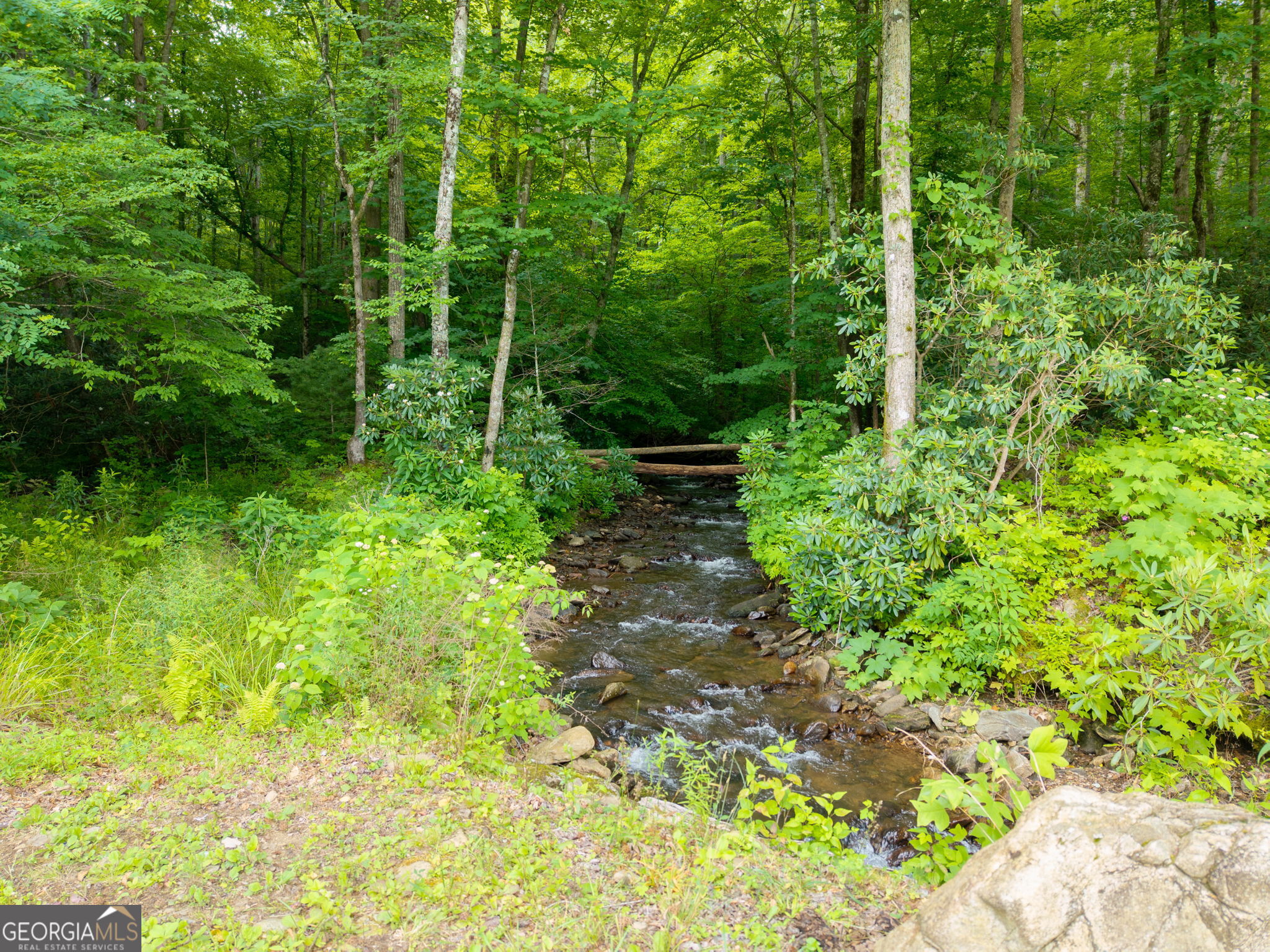 1449 Muskrat Creek Road Hayesville, NC 28904 - Photo 64 of 67
