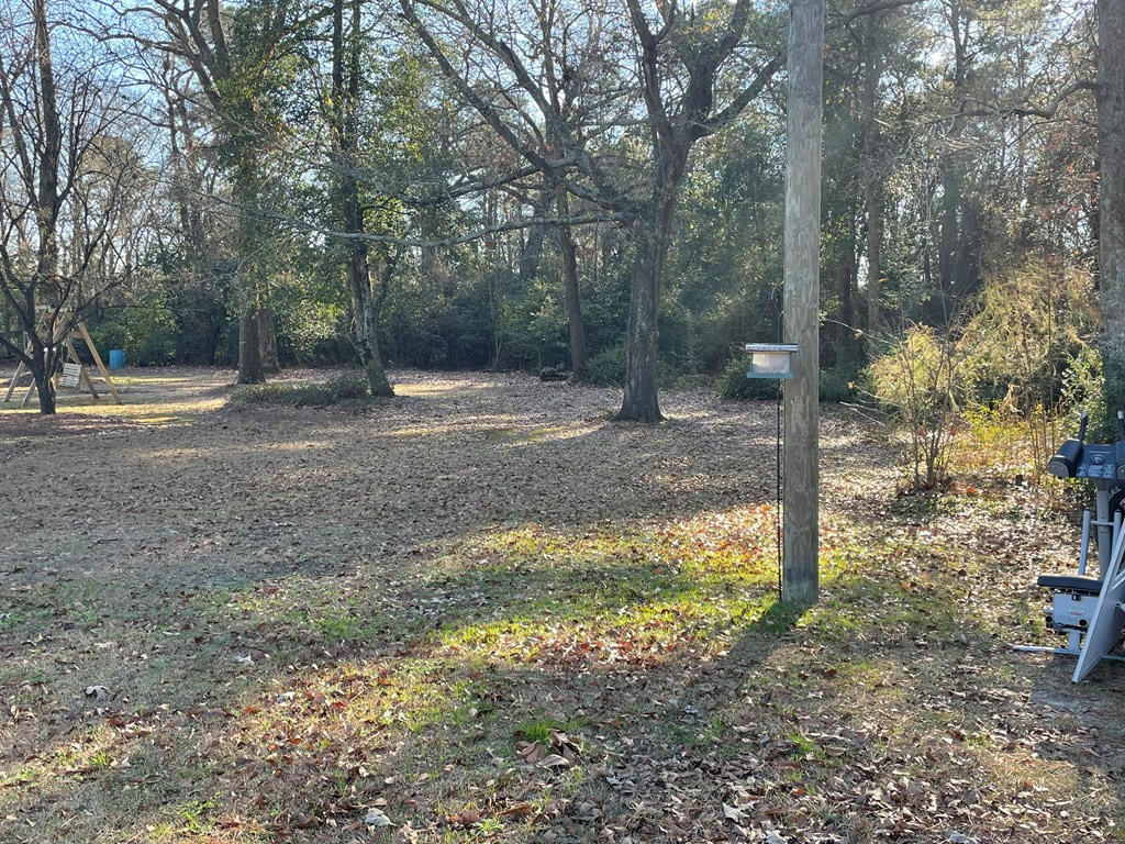 1364 Tram Road Mount Olive, NC 28365 - Photo 10 of 10 Gallery Image 10