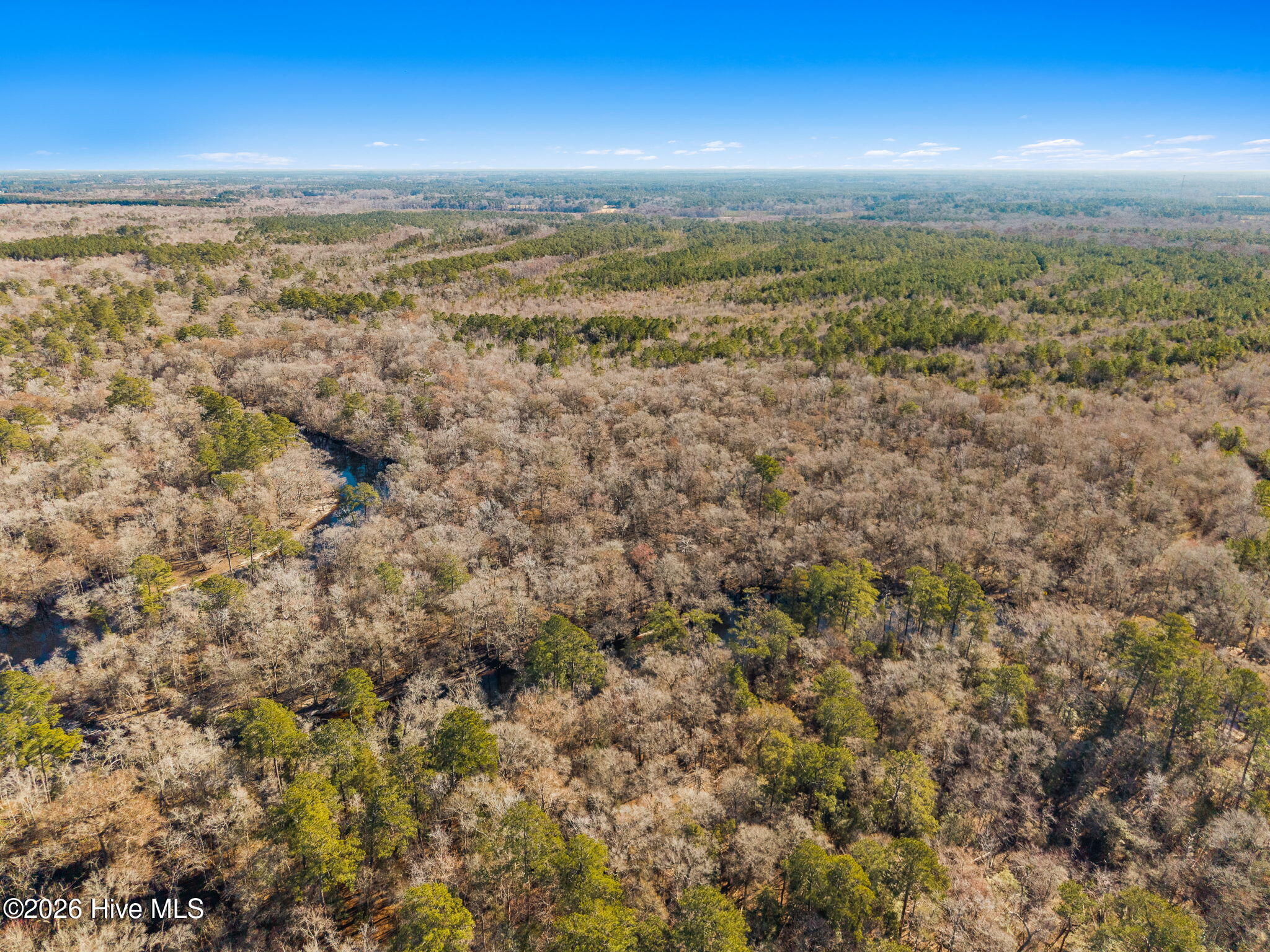 0 Castaway Lane Ash, NC 28420 - Photo 9 of 10 290 AC Waccamaw
