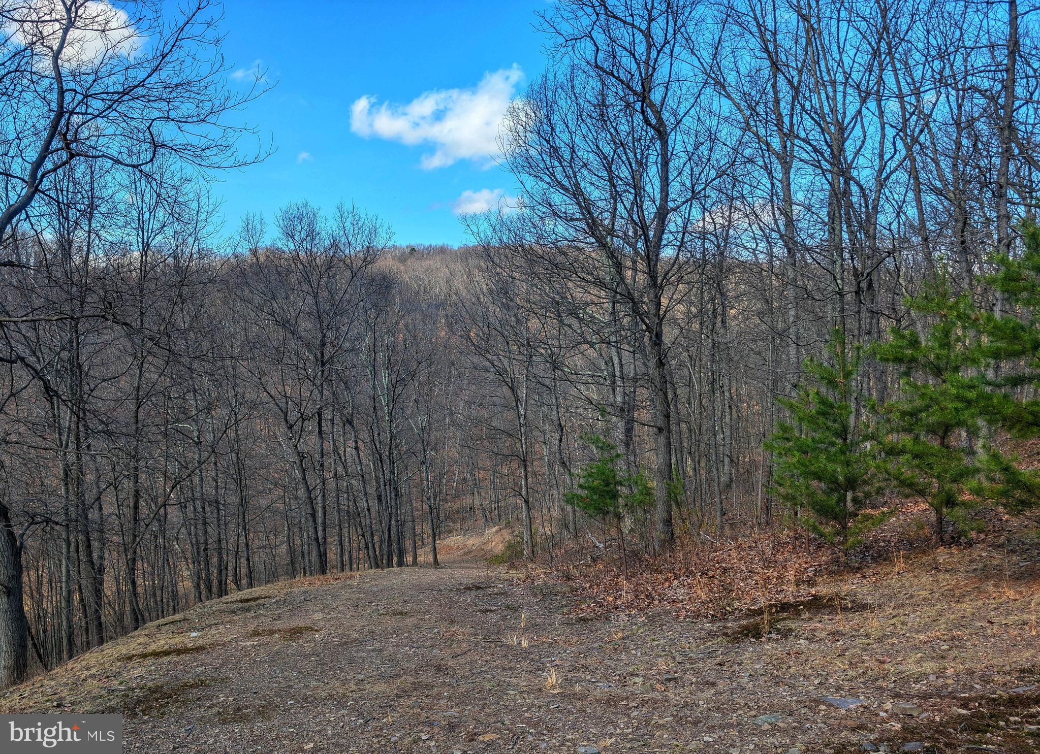 0 Pine Ridge Road James Creek, PA 16657 - Photo 22 of 23