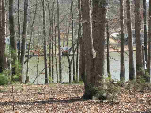 197 Lyman Lake Road Lyman, SC 29365 - Photo 4 of 14