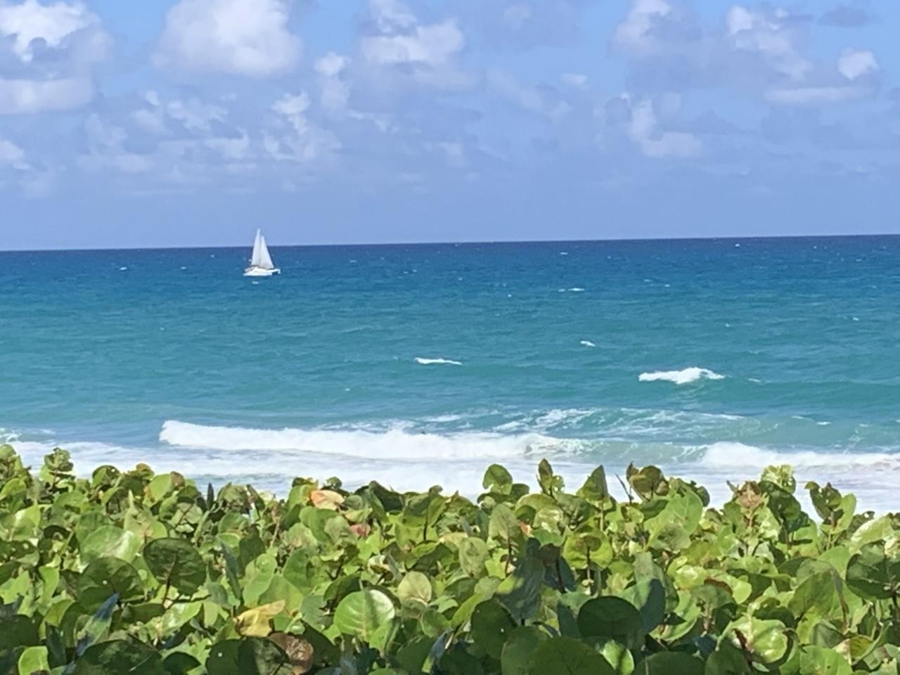 149 Seabreeze Circle Jupiter, FL 33477 - Photo 21 of 28 Jupiter Beach
